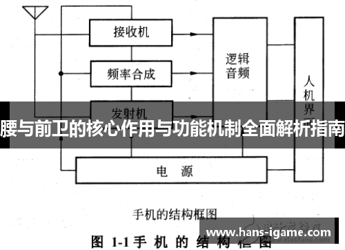 腰与前卫的核心作用与功能机制全面解析指南